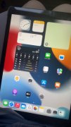 Apple iPad Pro 2015年 屏幕大 学网课很合